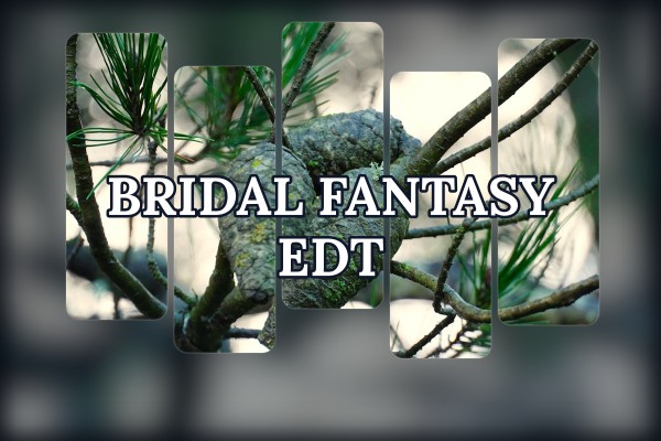 bridal fantasy edt