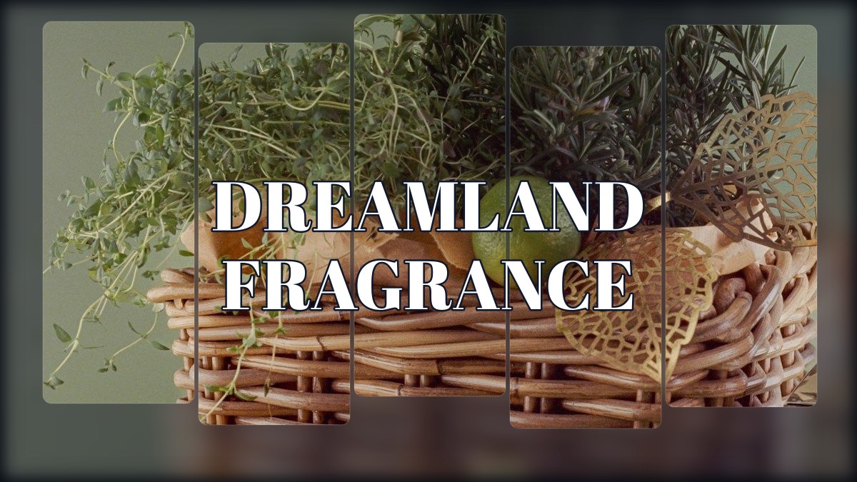 dreamland fragrance