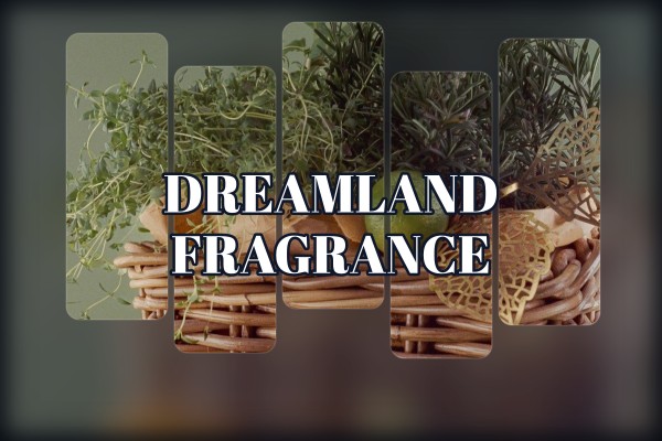 dreamland fragrance