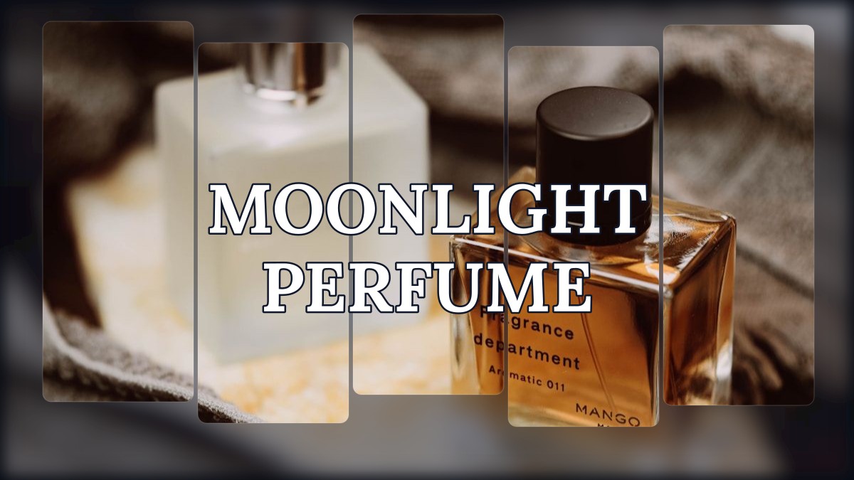 moonlight perfume