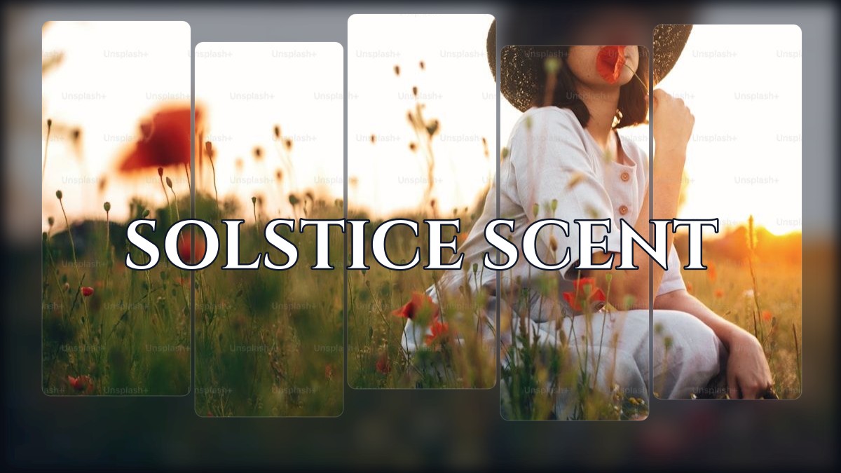 solstice scent